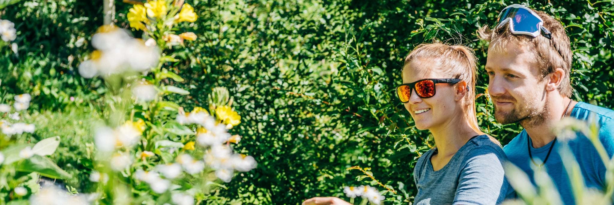 Entdecke Alpenblumen & stärke Artenvielfalt