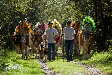Erlebe lebendige Traditionen