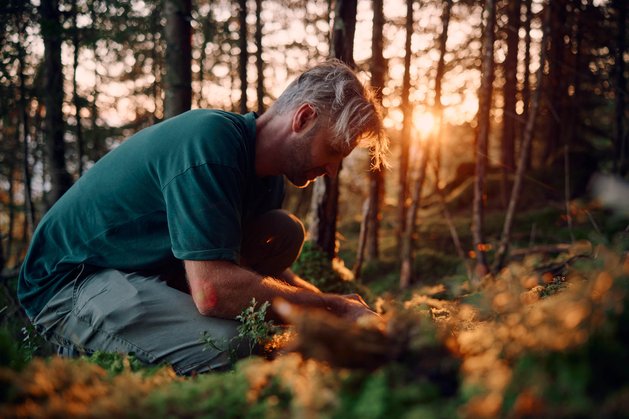Lerne von Expert:innen