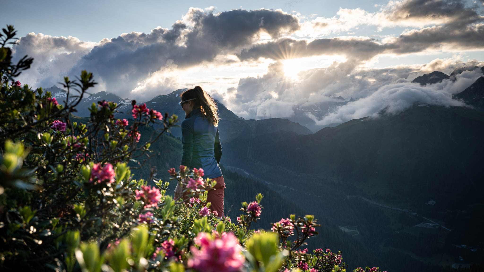 Erkunde den Alpenrosenweg & vertiefe Naturwissen