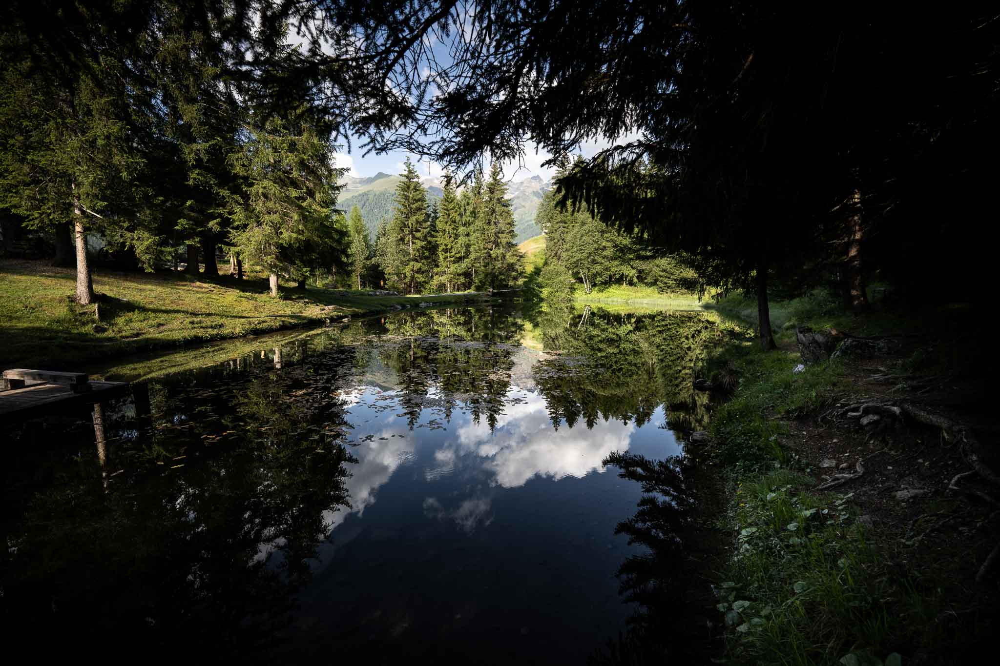 Entdecke den Egger Weiher & Fördere Renaturierung