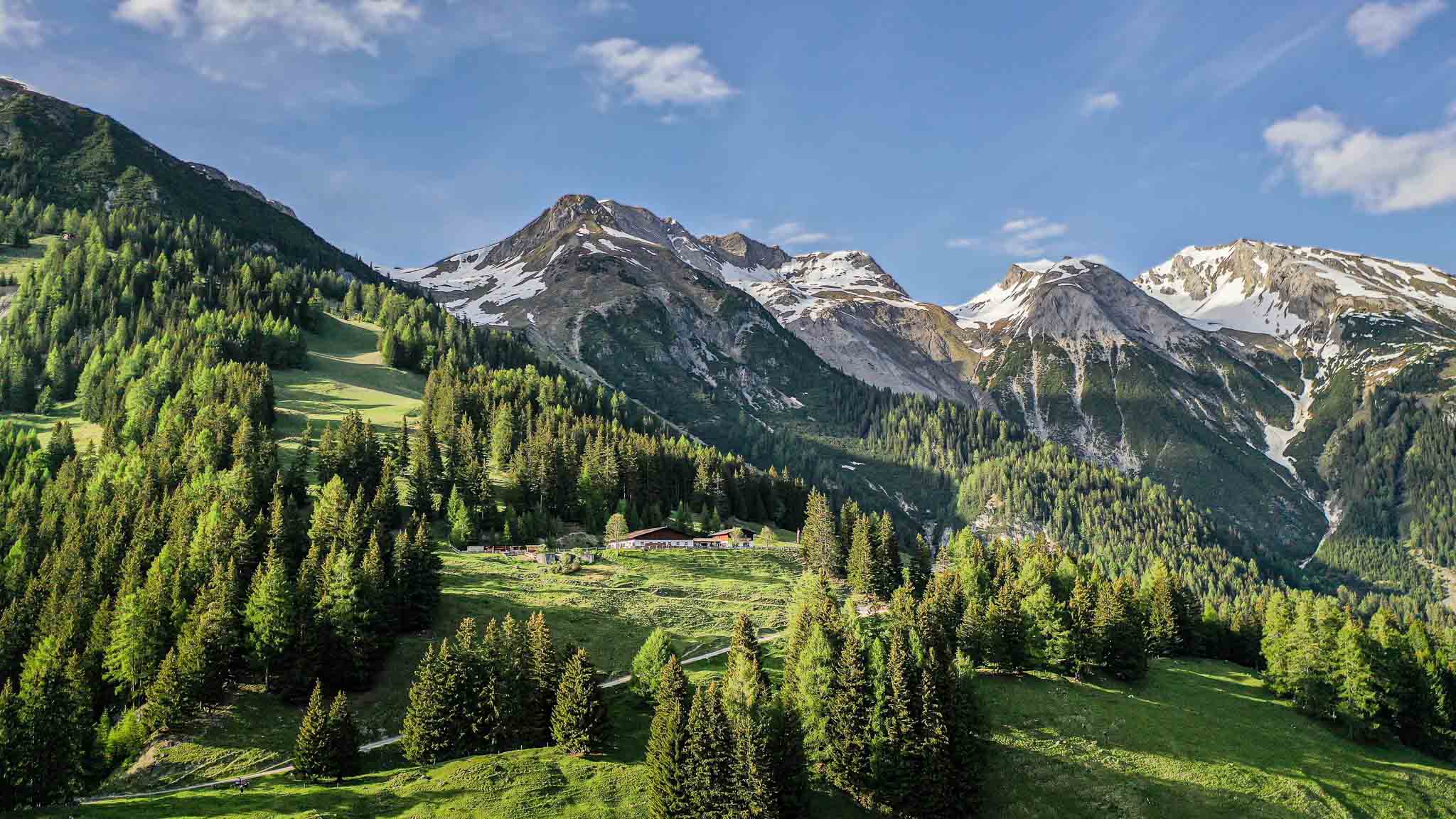 Wandere zur Nessleralm & Belebe Bergwiesenvielfalt