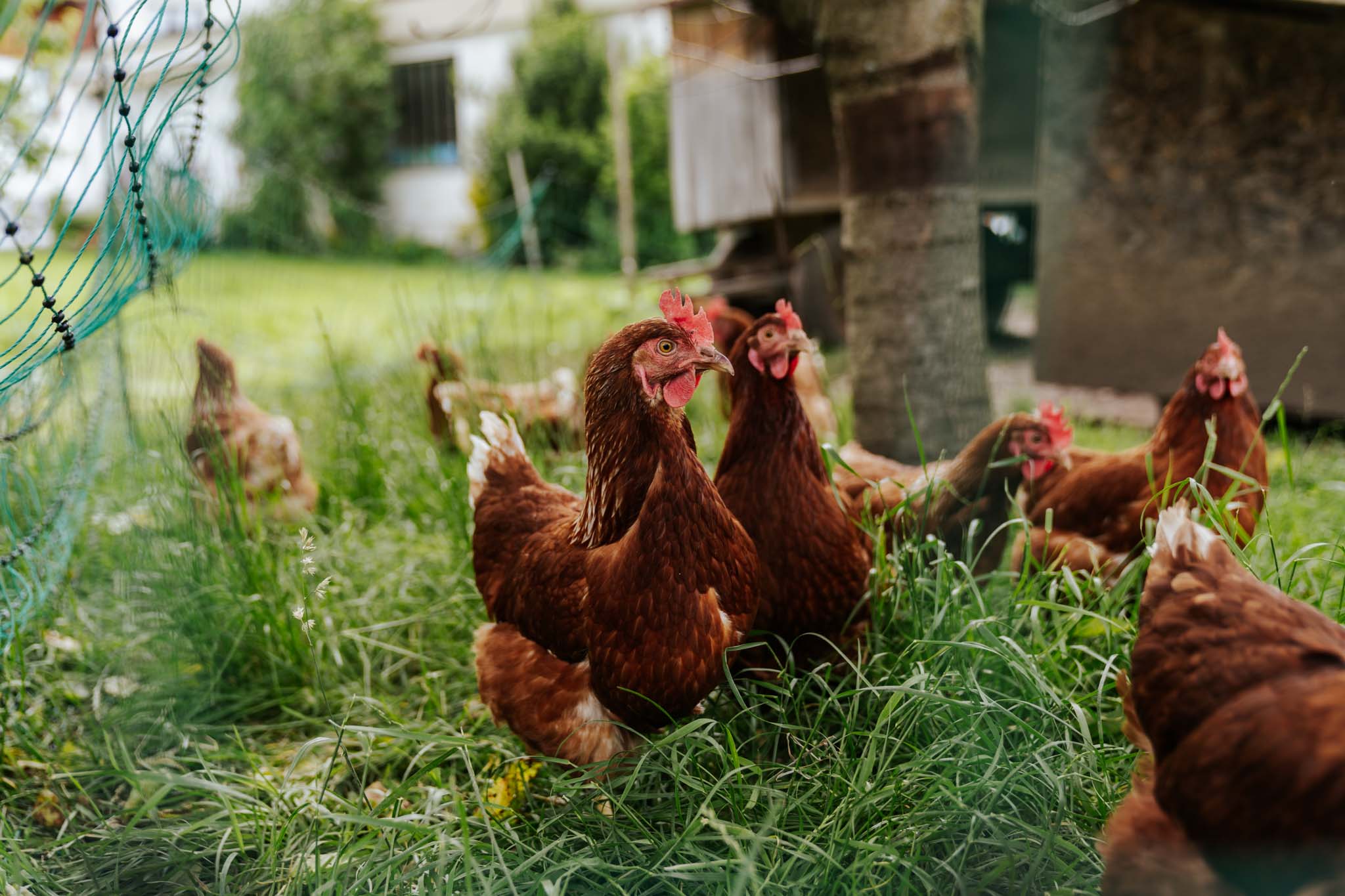 Wähle Unterkunft mit regionalem Beitrag