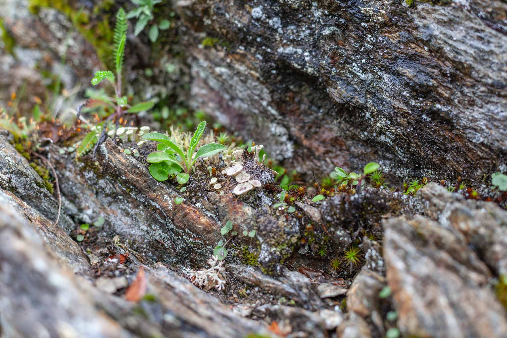 Erlebe Natur & Kultur respektvoll