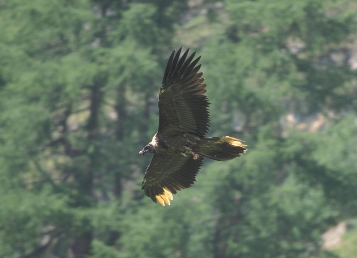Entdecke geschützte Welten & stärke regionale Kreisläufe